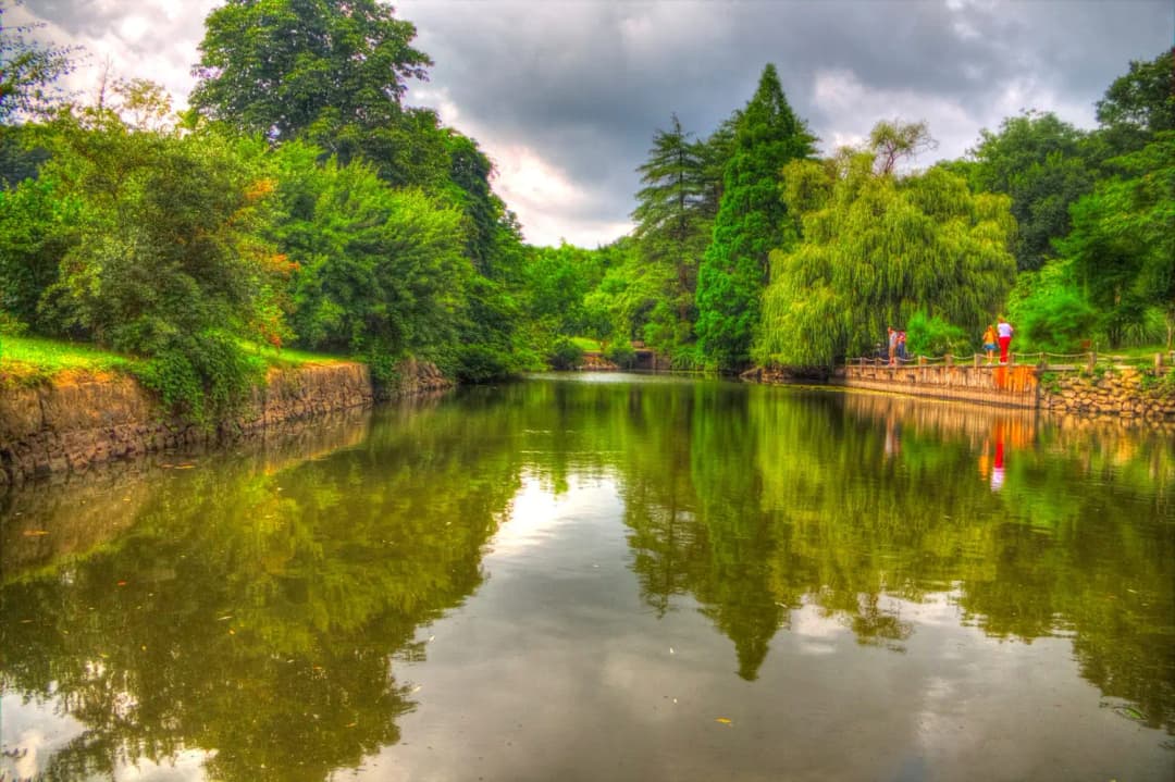 بوابة سقطرى السريعة