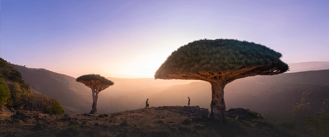 رحلة التصوير الفوتوغرافي في سقطرى