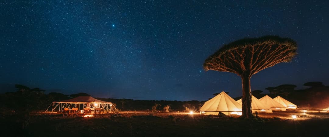 مغامرة التخييم