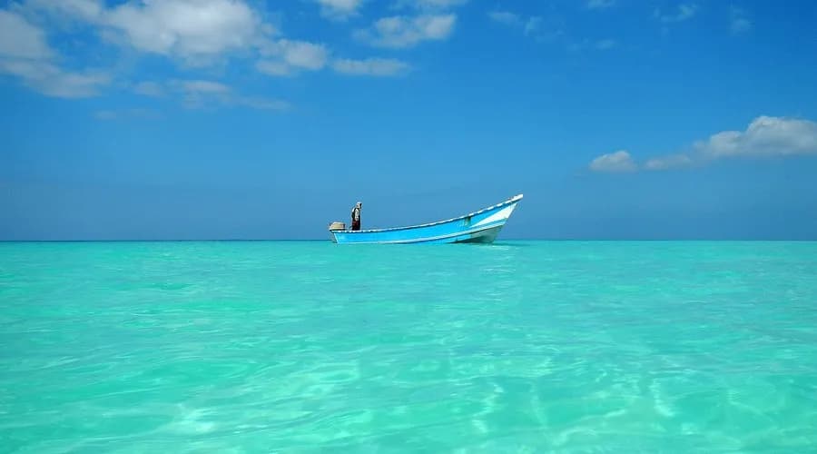 رحلة بحرية ومشاهدة الدلافين